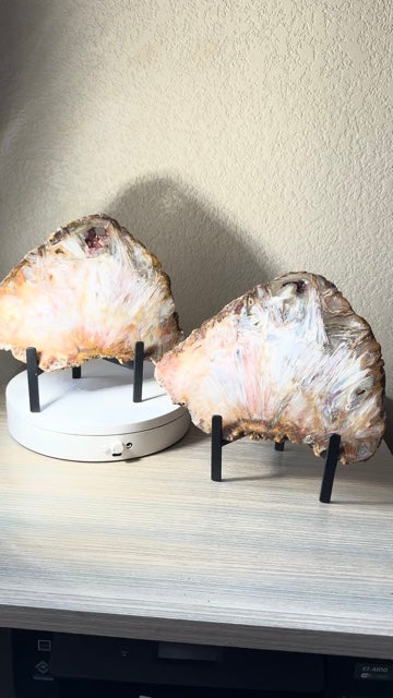Rare High Grade Brazilian Sagenite Agate Slab on Metal Stand