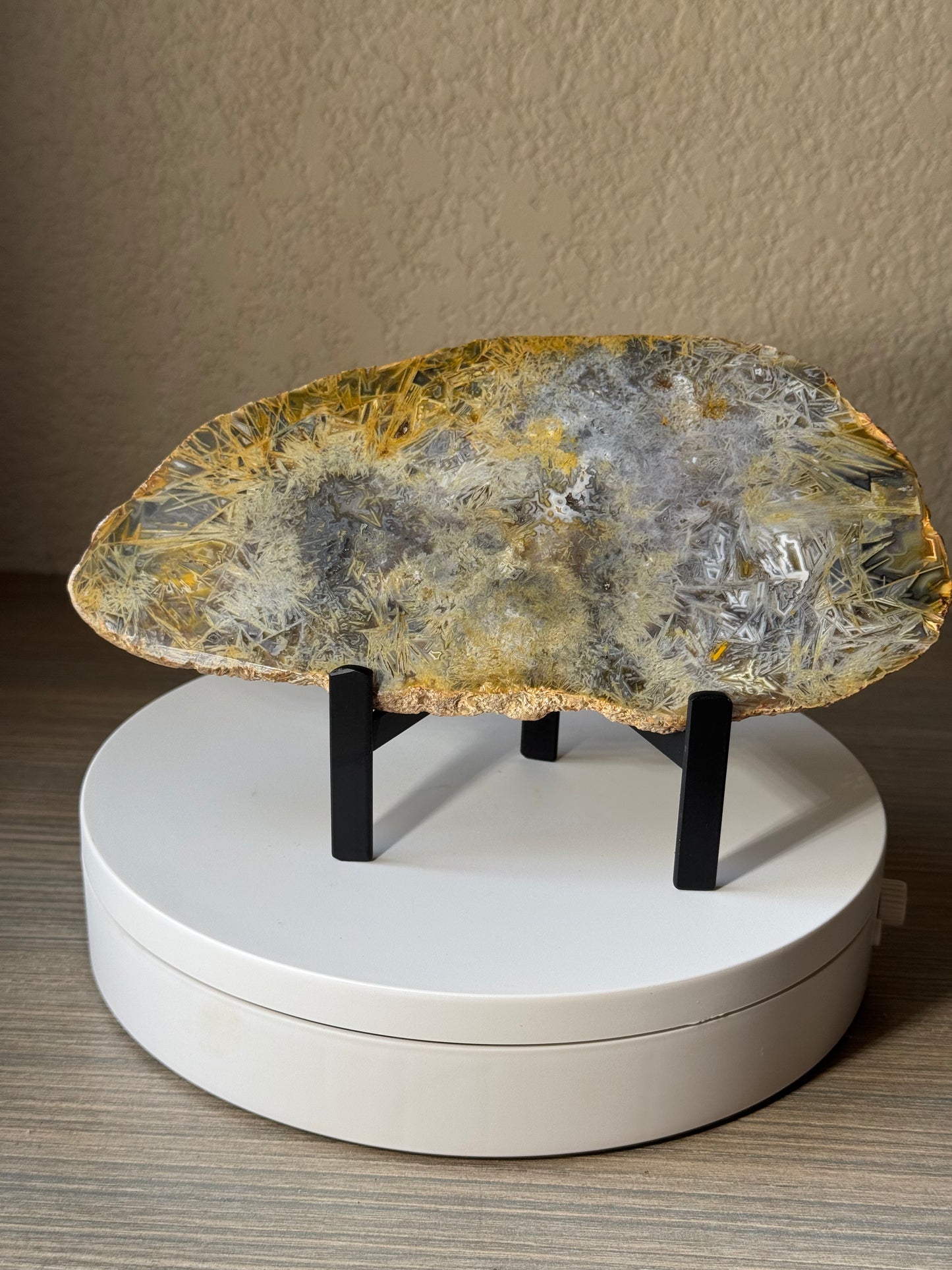 Rare High Grade Brazilian Sagenite Agate Slab on Metal Stand