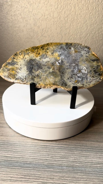 Rare High Grade Brazilian Sagenite Agate Slab on Metal Stand
