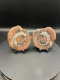 UV Reactive Ammonite Pair From Indonesia with Stands | 279 Grams