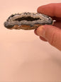 Oco Geode