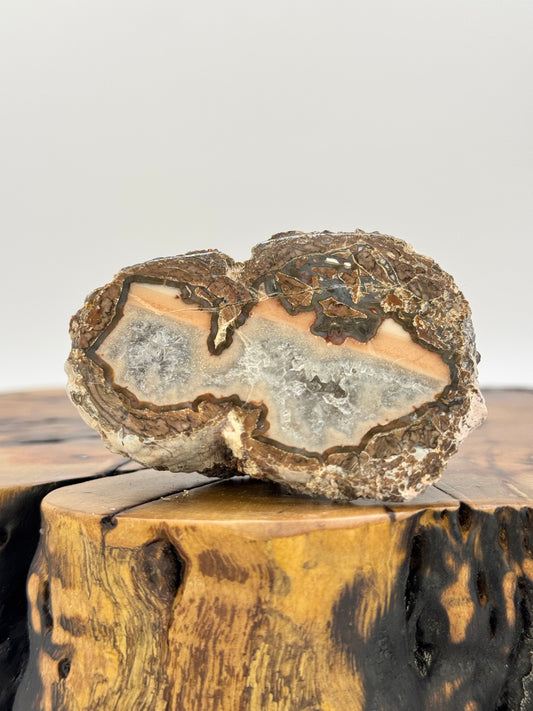 New Mexico Agate