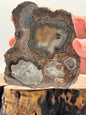 New Mexico Agate