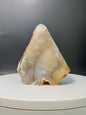 Brazilian Agate point covered in Sugar