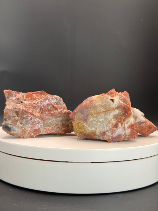 Petrified Wood from Arizona