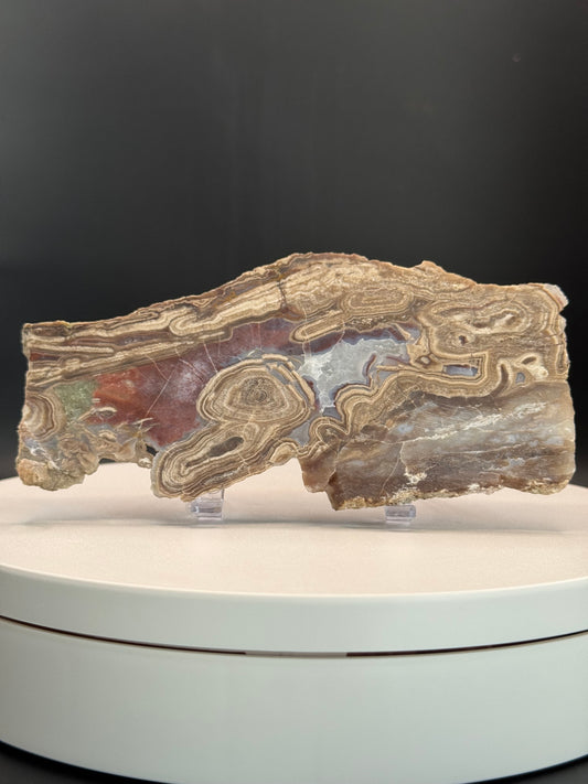 Blizzard Agate from Wyoming, also known as Lysite Agate