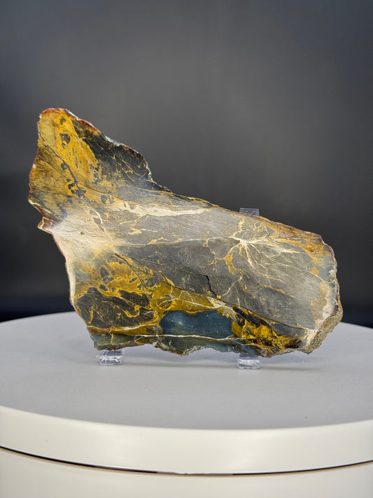 Petrified wood Slab