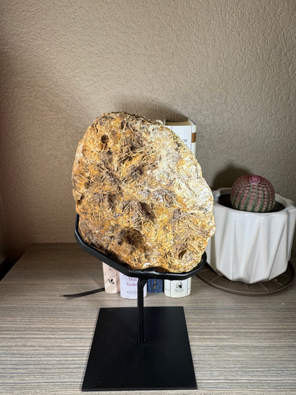 Brazilian Sugar Druzy covered Geode on Stand
