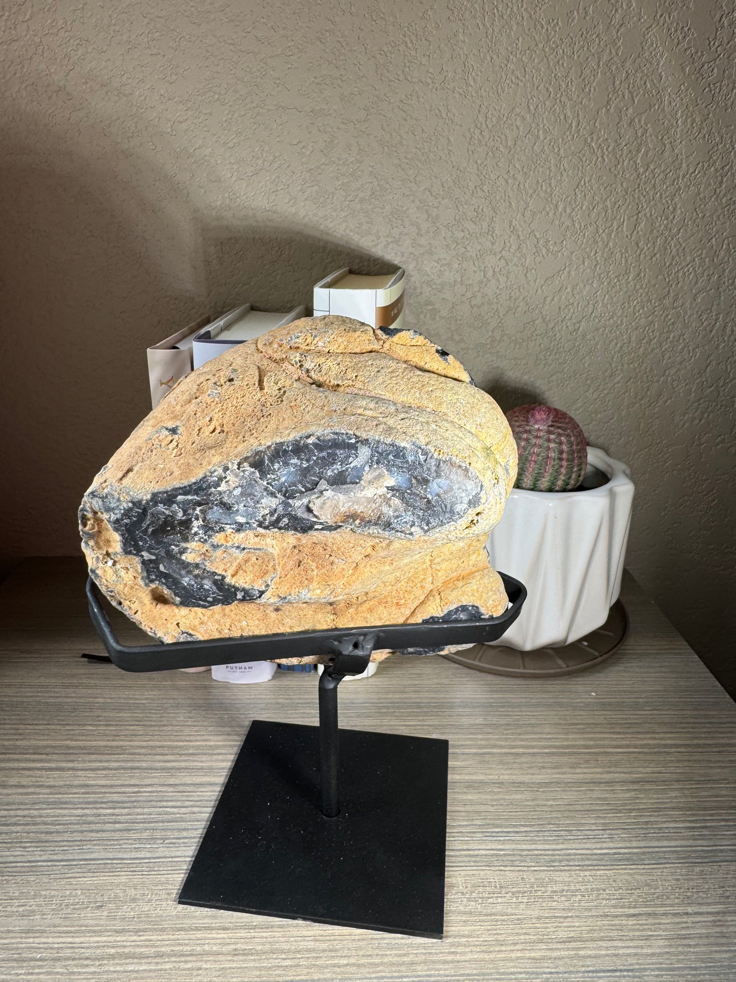 Brazilian Banded Agate Geode on Custom Stand