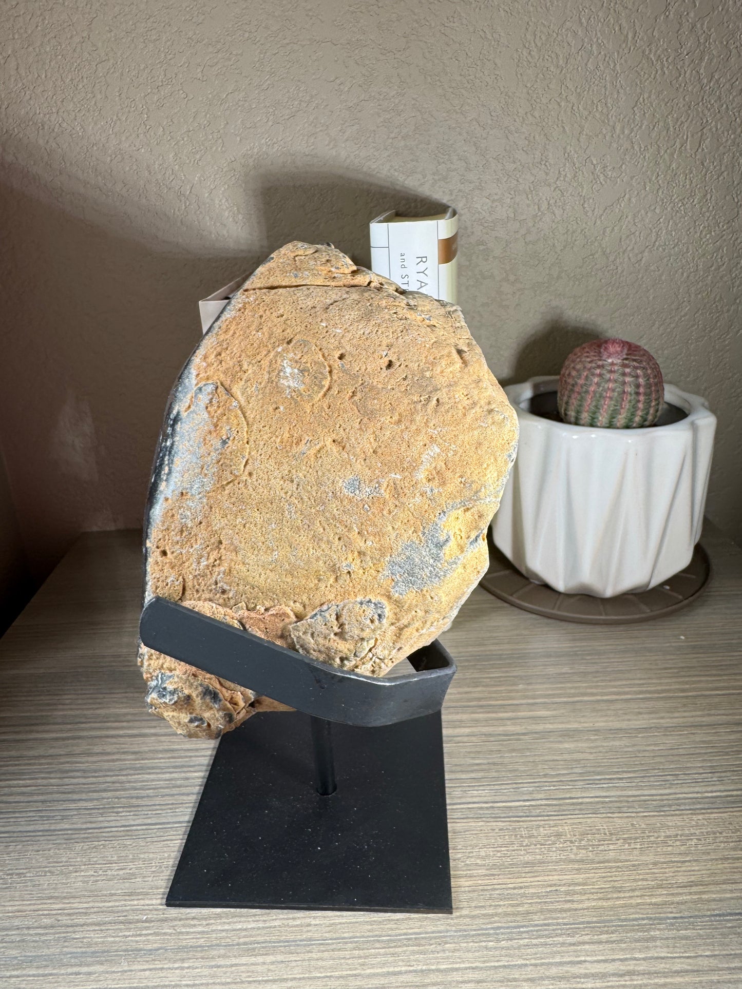 Brazilian Banded Agate Geode on Custom Stand