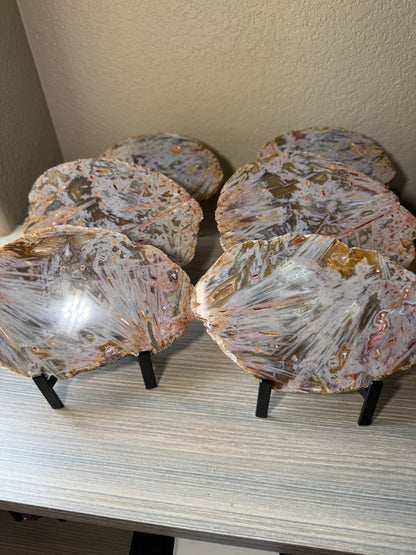 Rare High Grade Brazilian Sagenite Agate Slab on Metal Stand