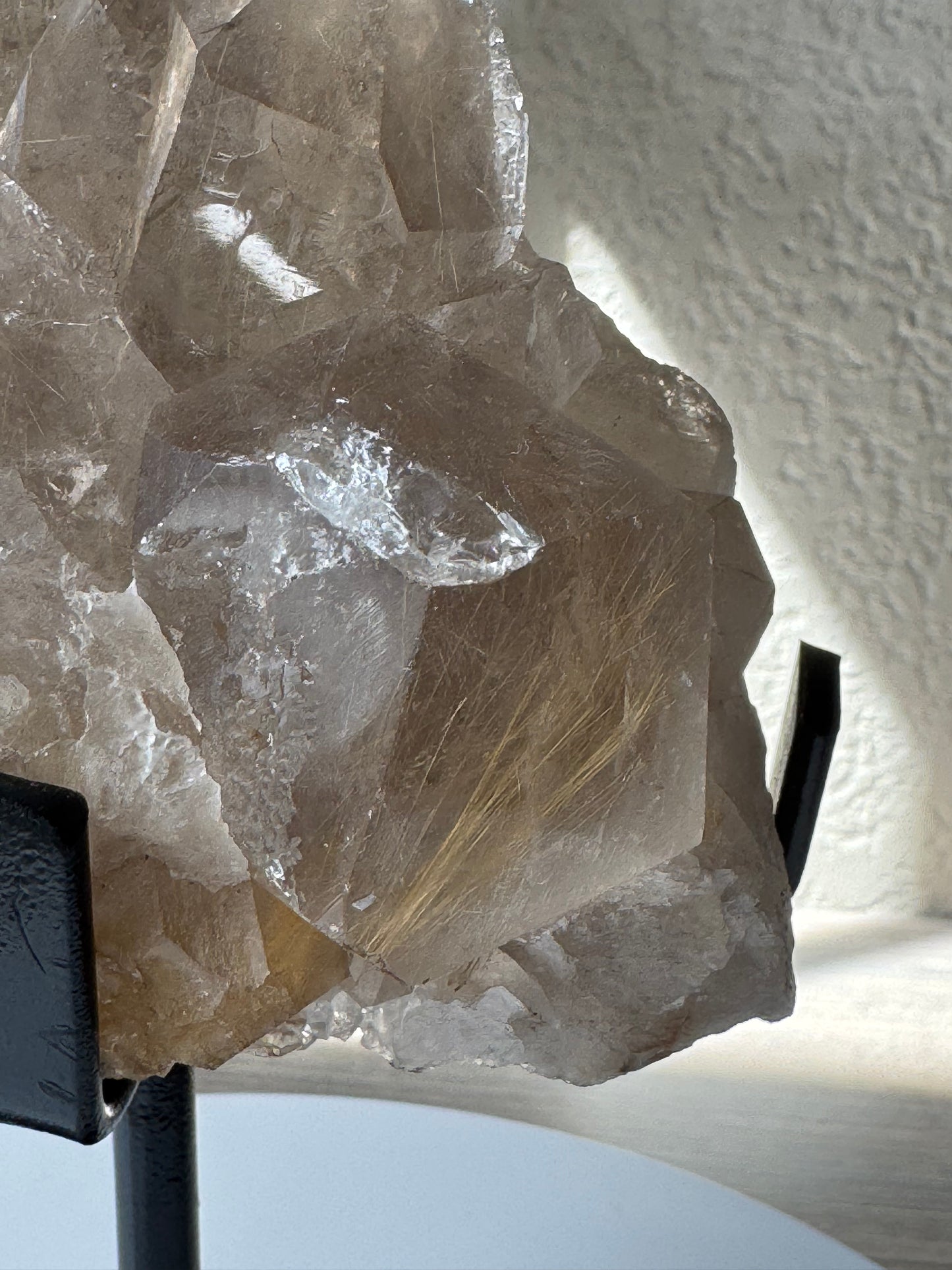 Clear Quartz Cluster with Golden Rutiles on Custom Stand from Brazil