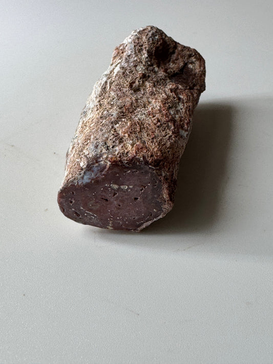 Small Petrified wood