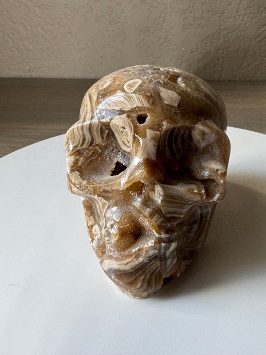 Natural Amber Agate Druzy Skull 1 pound!