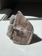 Blue Forrest Petrified Wood UV Reactive