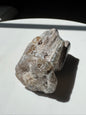 Blue Forrest Petrified Wood UV Reactive