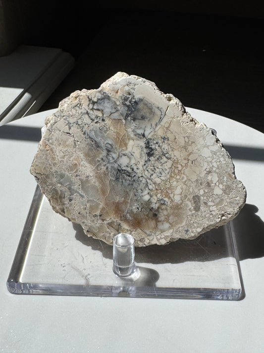 Wyoming Cedar Rim Common Opal Slab UV Reactive