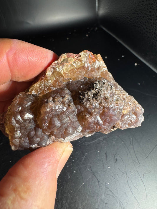 Botryoidal Red Fluorite San Antonio Mine, Santa Eulalia, Mex 139 Grams