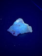 UV Reactive Cinnabar Druzy Quartz El Potosi Mine, Santa Eulalia, Chihuahua, Mex. 48 grams