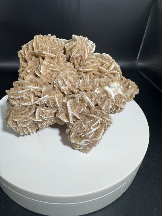 Desert Rose Selenite Cluster 2.5 lbs!