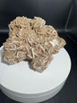 Desert Rose Selenite Cluster 2.5 lbs!