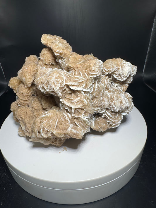 Desert Rose Selenite Cluster 1.7 lbs!