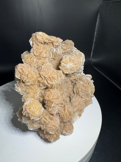 Desert Rose Selenite Cluster 1.7 lbs!