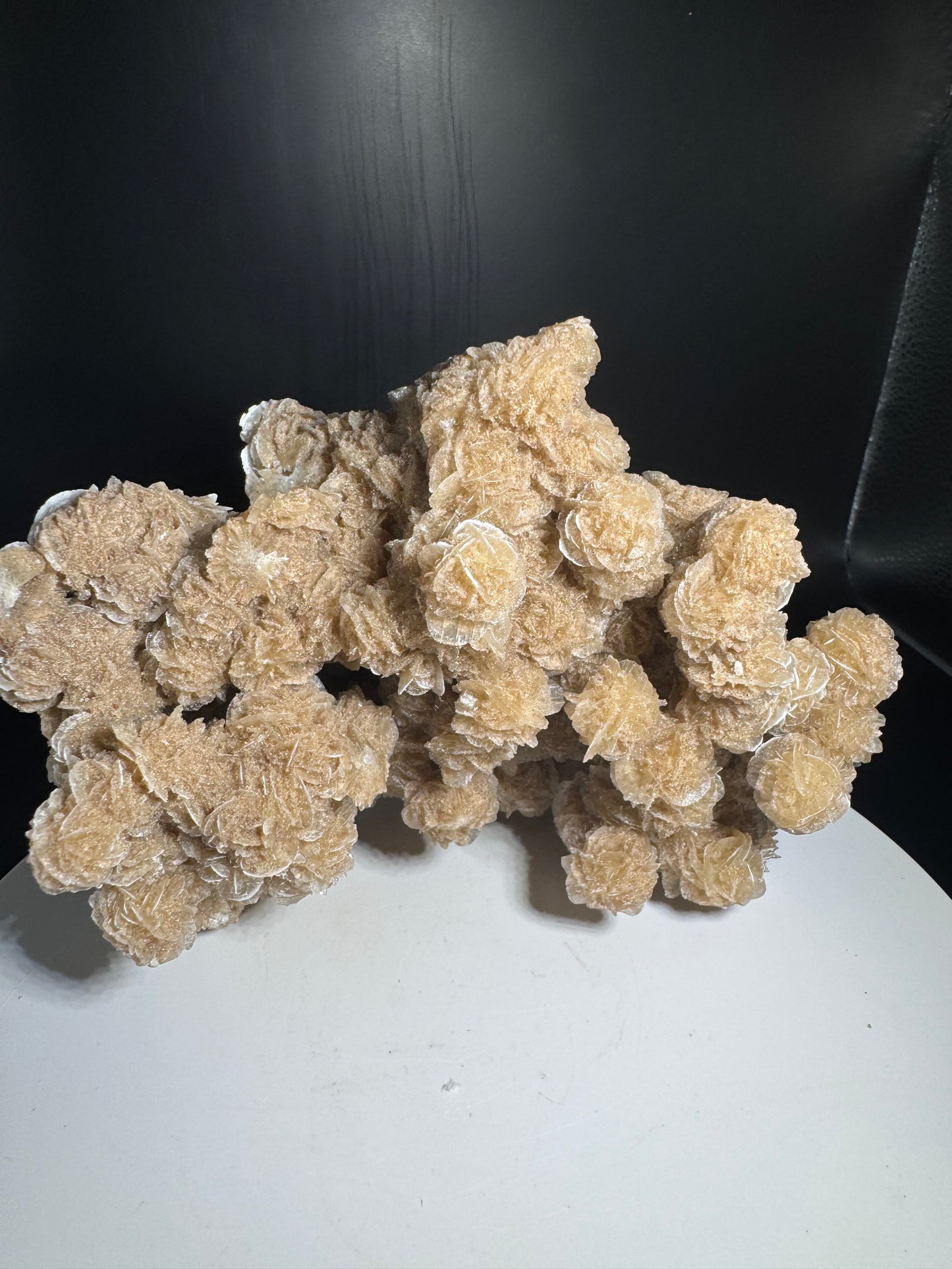 Desert Rose Selenite Cluster 1.7 lbs!