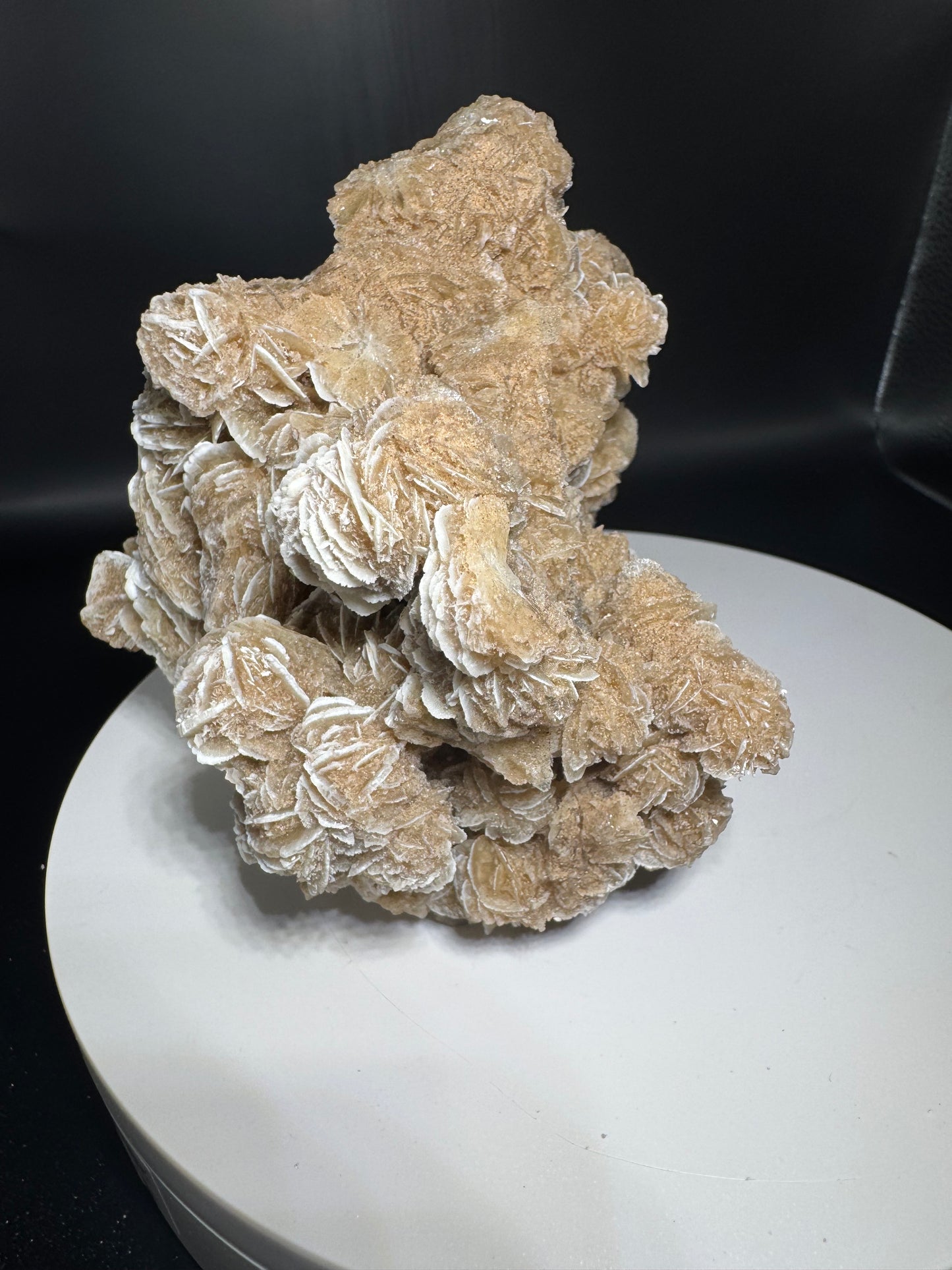 Desert Rose Selenite Cluster 1.7 lbs!