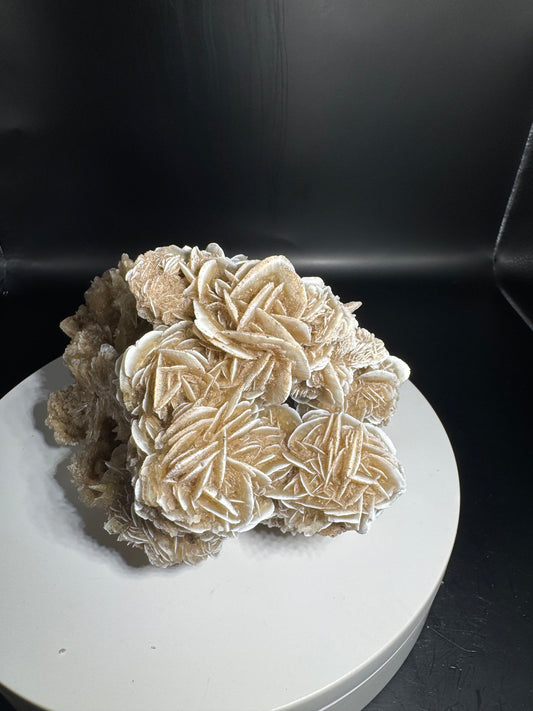 Desert Rose Selenite Cluster 1.7 lbs!