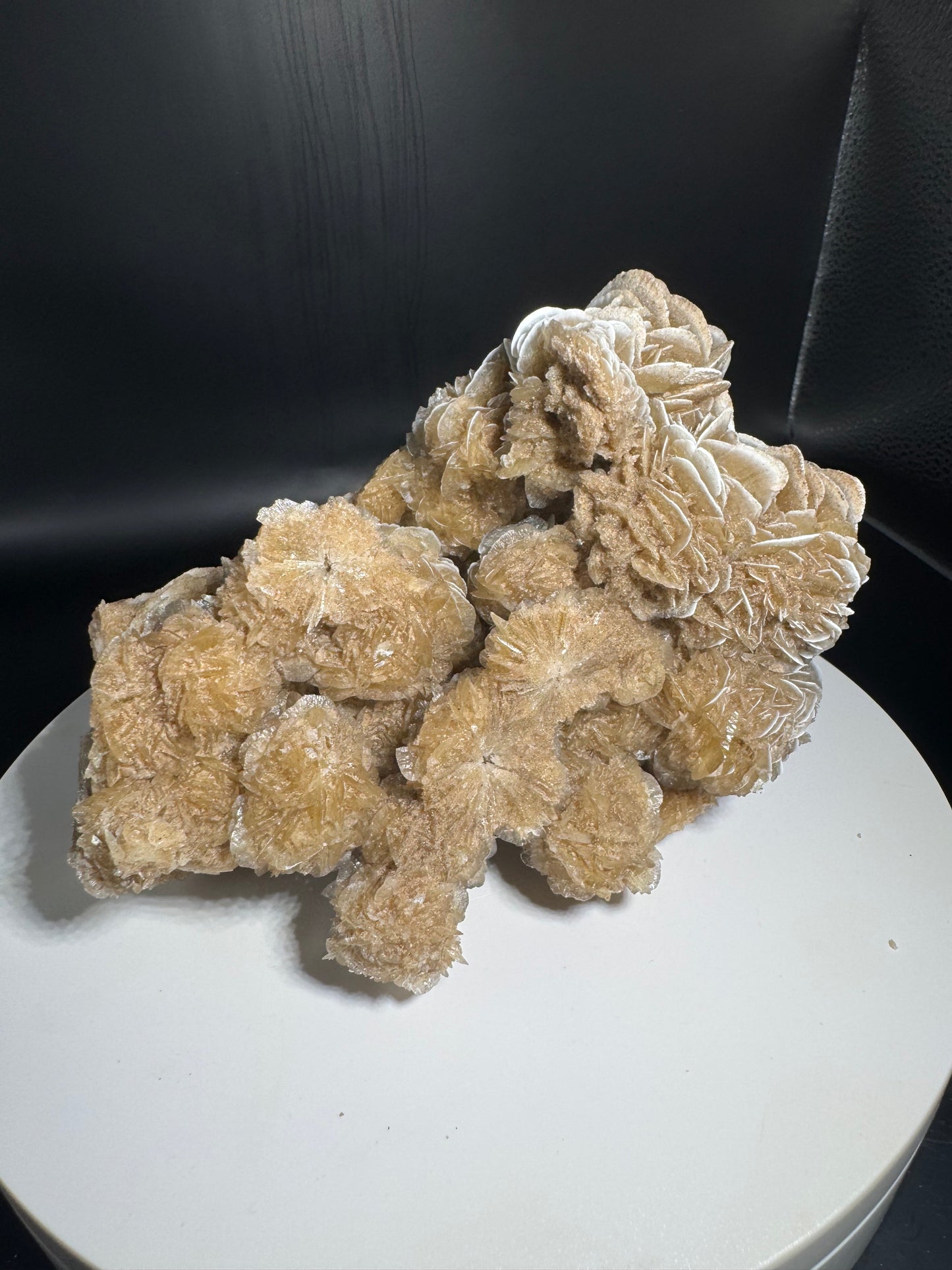 Desert Rose Selenite Cluster 1.7 lbs!