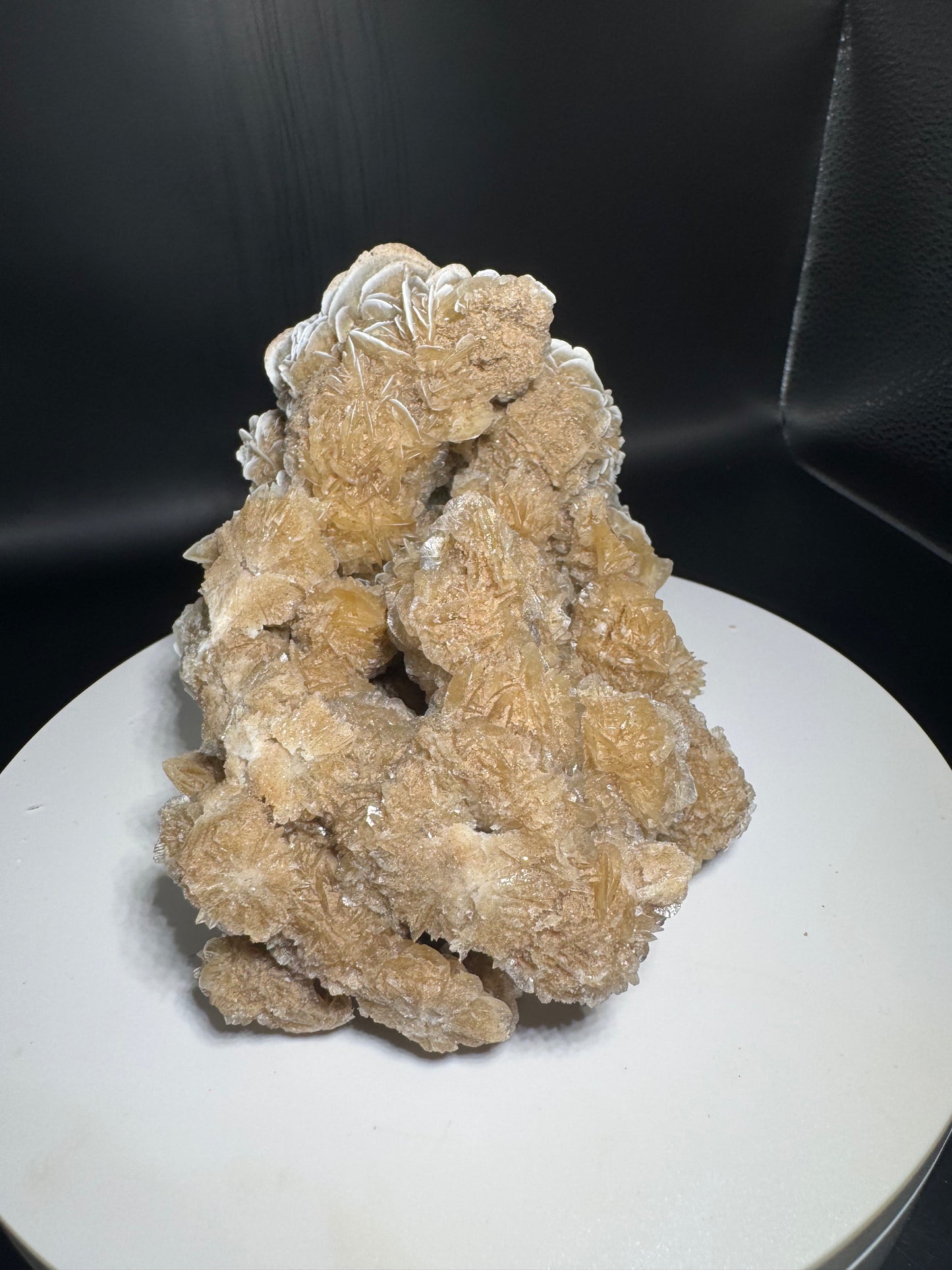 Desert Rose Selenite Cluster 1.7 lbs!