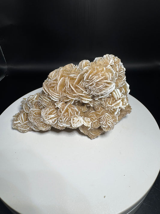 Desert Rose Selenite Cluster 1.1 lbs!