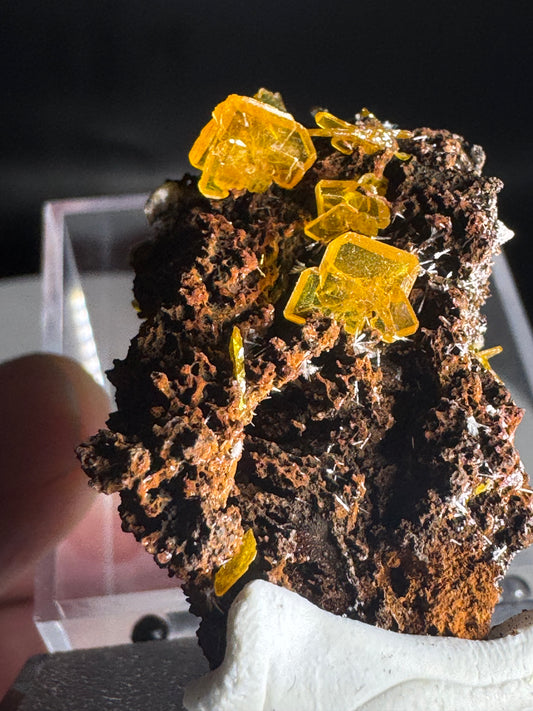 Wulfenite on Matrix from Mexico 7 Grams