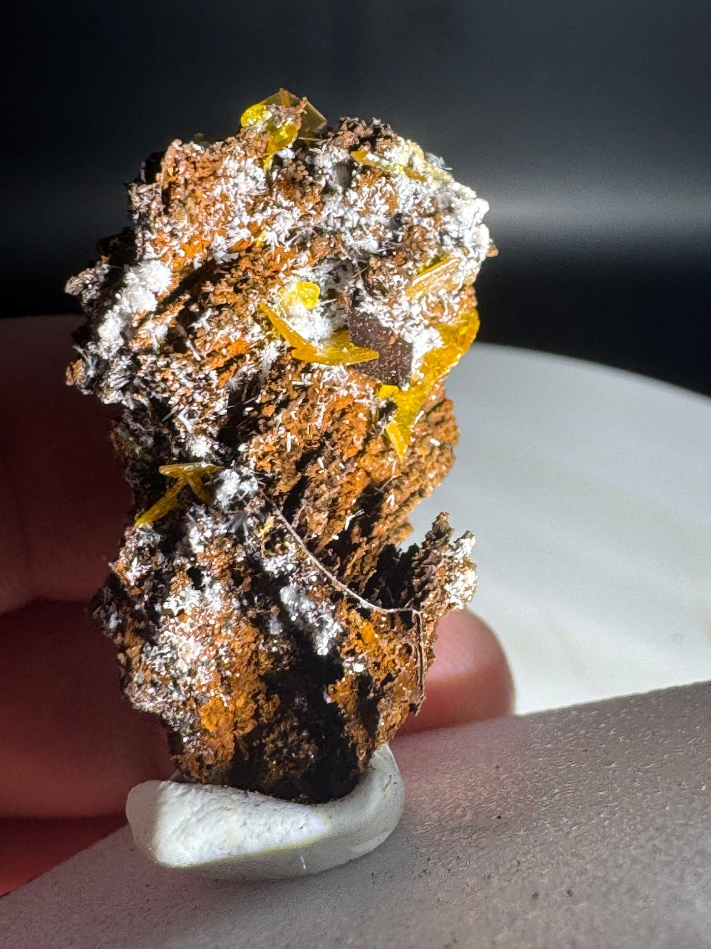 Wulfenite on Matrix from Mexico 7 Grams