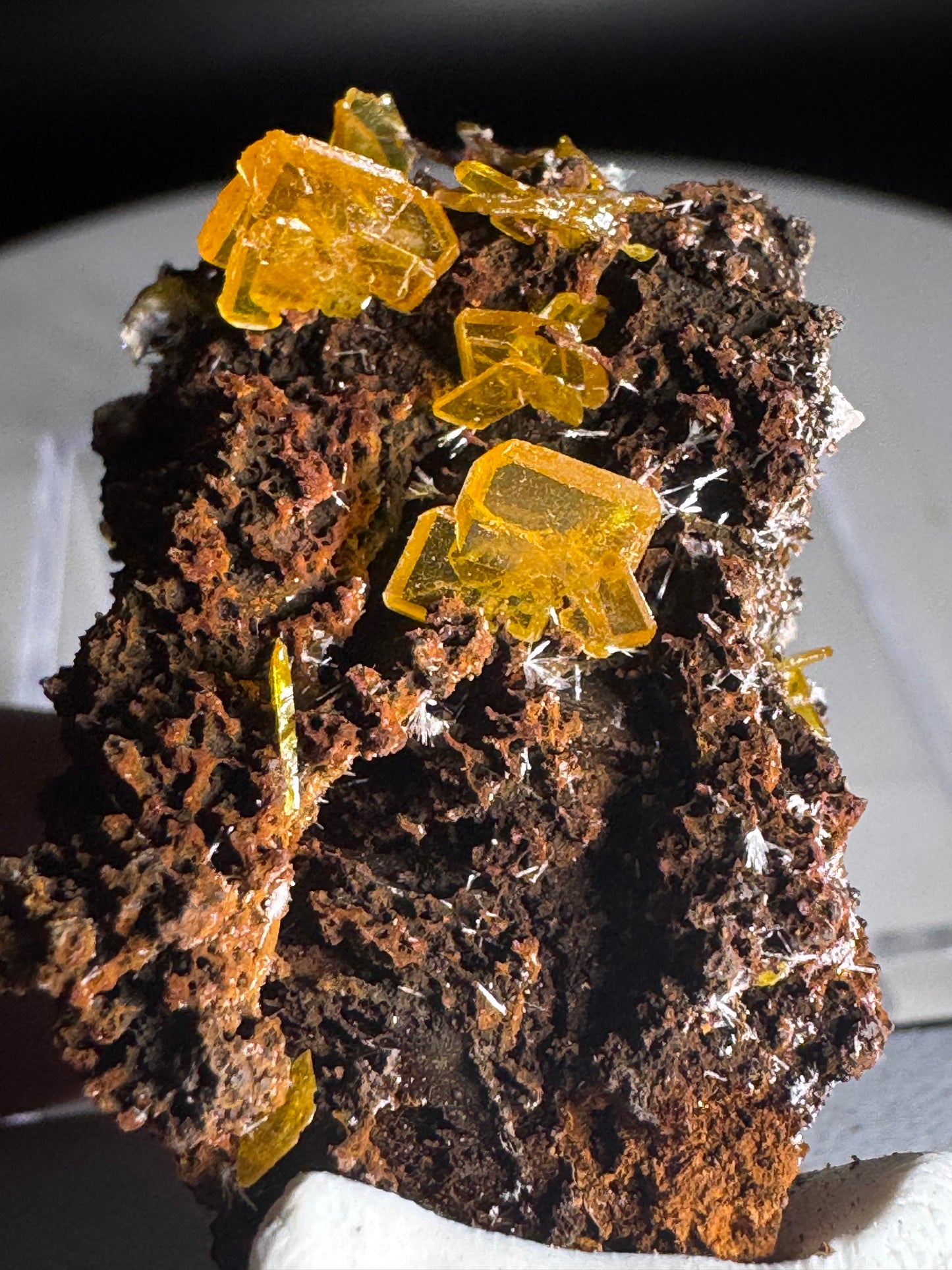 Wulfenite on Matrix from Mexico 7 Grams