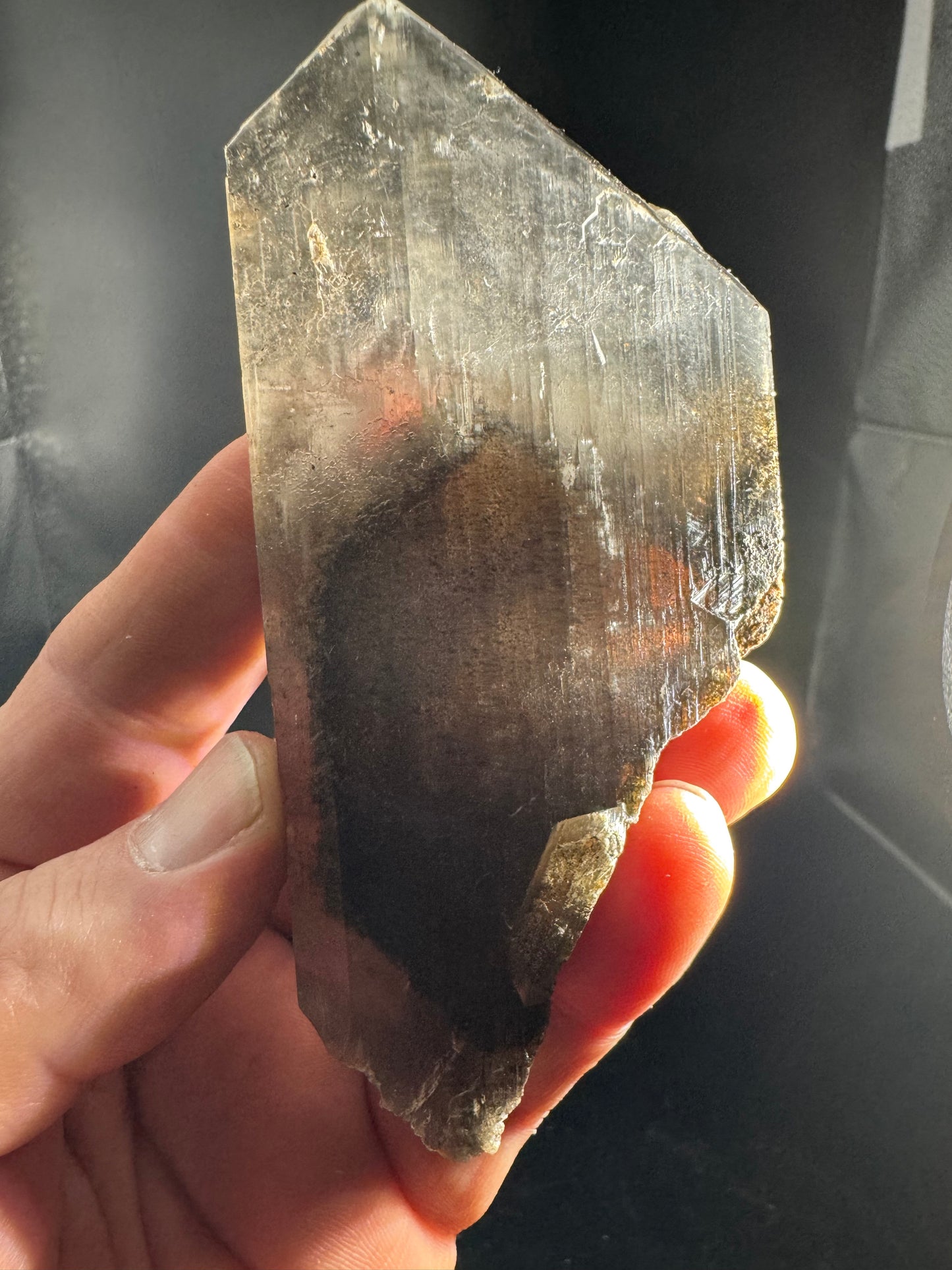 Phantom Selenite from La Platosa mine in Bermejillo Durango Mex 111 Grams