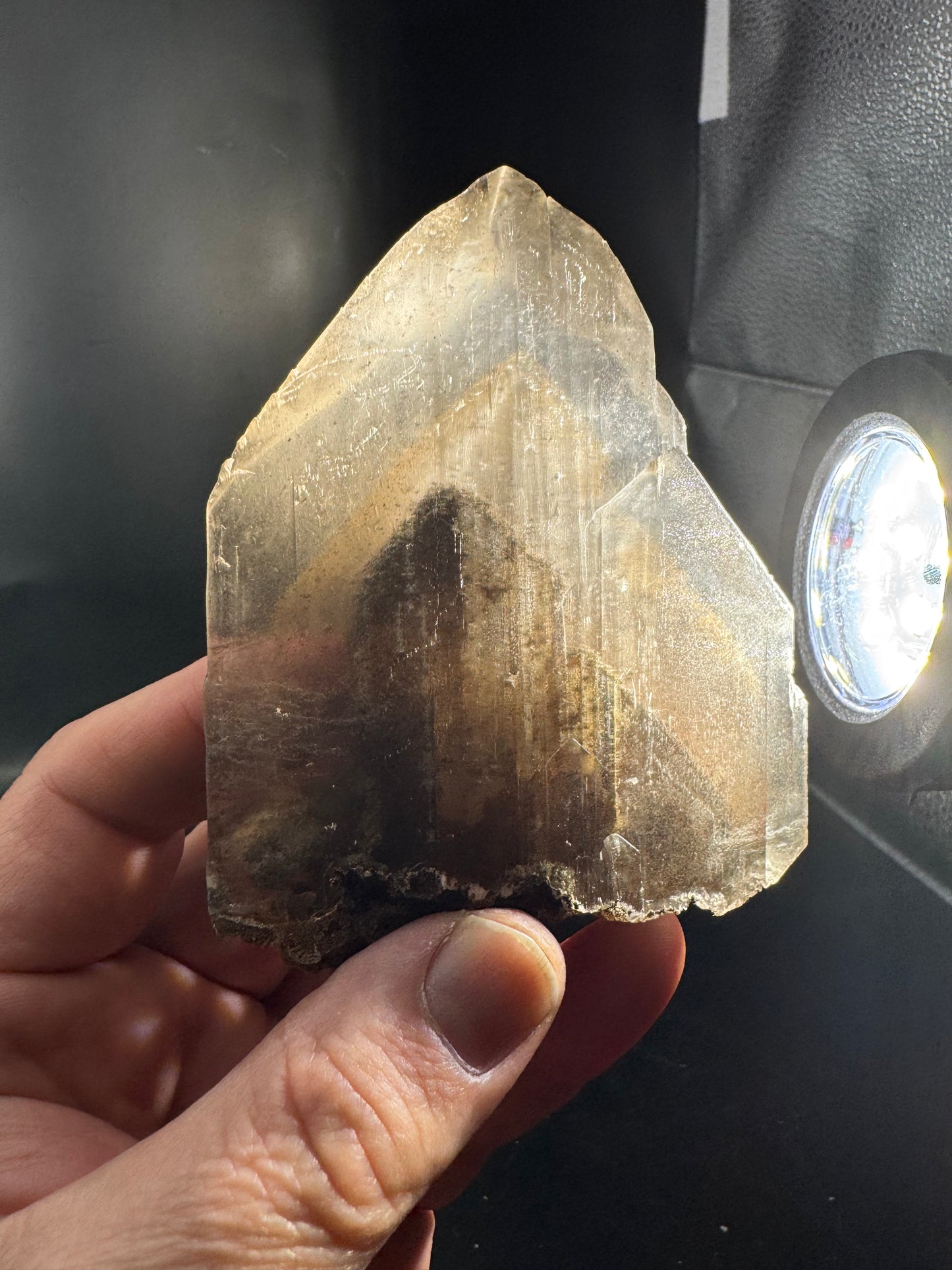 Phantom Selenite from La Platosa mine in Bermejillo Durango Mex 186 Grams