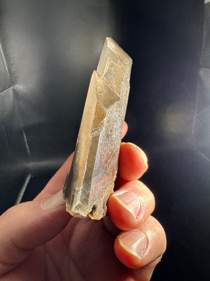 Phantom Selenite from La Platosa mine in Bermejillo Durango Mex 186 Grams