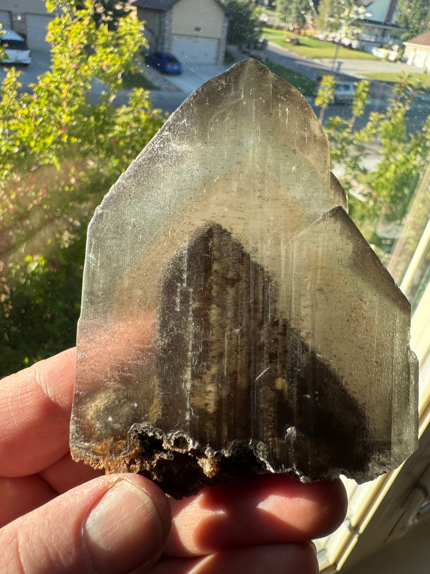 Phantom Selenite from La Platosa mine in Bermejillo Durango Mex 186 Grams