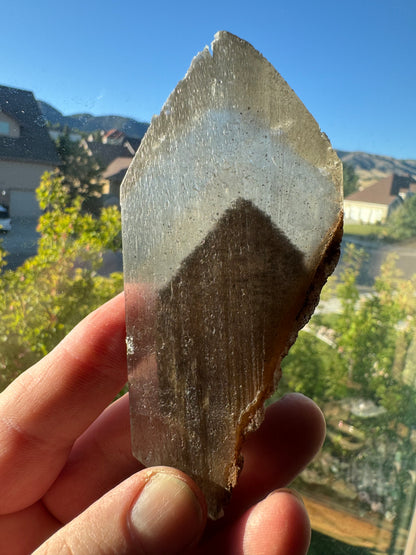 Phantom Selenite from La Platosa mine in Bermejillo Durango Mex 106 grams