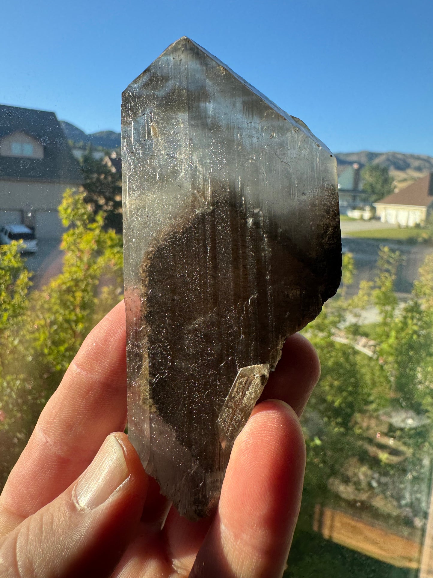 Phantom Selenite from La Platosa mine in Bermejillo Durango Mex 111 Grams