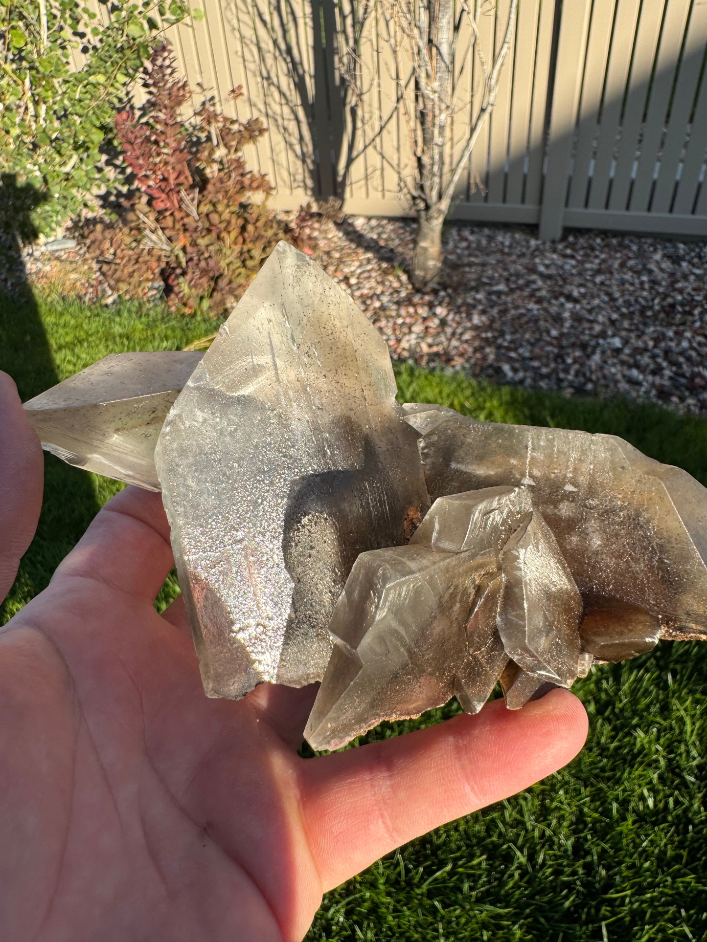 Phantom Selenite from La Platosa mine in Bermejillo Durango Mex 539 Grams