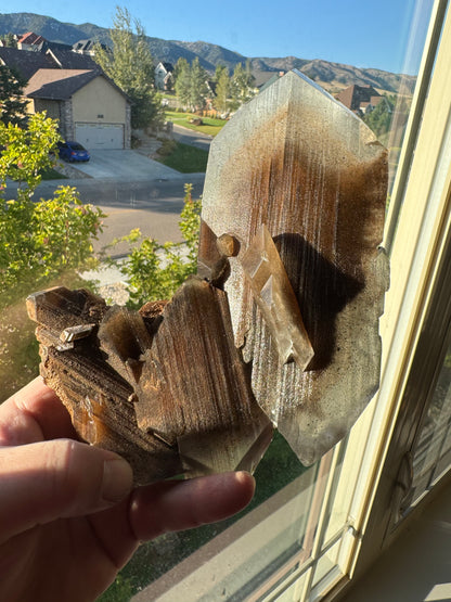 Phantom Selenite from La Platosa mine in Bermejillo Durango Mex 712 Grams