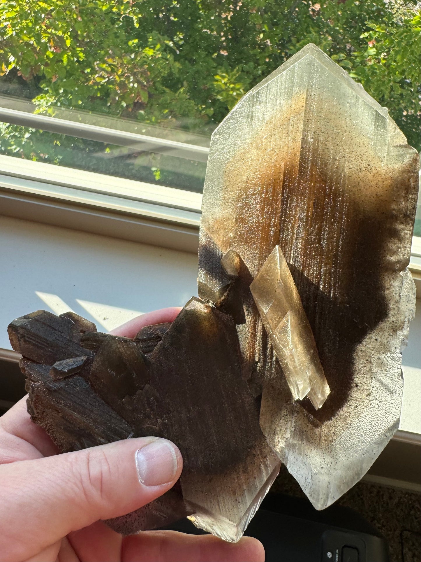 Phantom Selenite from La Platosa mine in Bermejillo Durango Mex 712 Grams