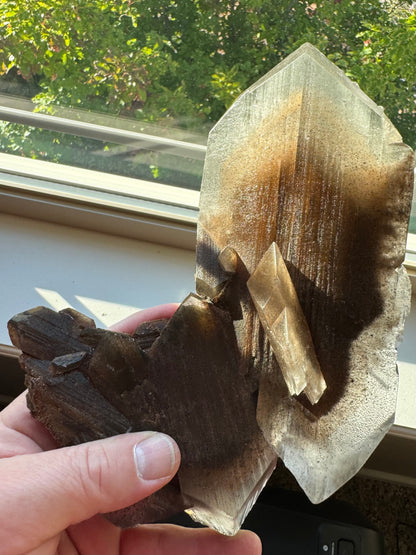 Phantom Selenite from La Platosa mine in Bermejillo Durango Mex 712 Grams