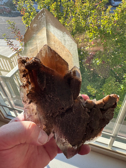 Phantom Selenite from La Platosa mine in Bermejillo Durango Mex 712 Grams