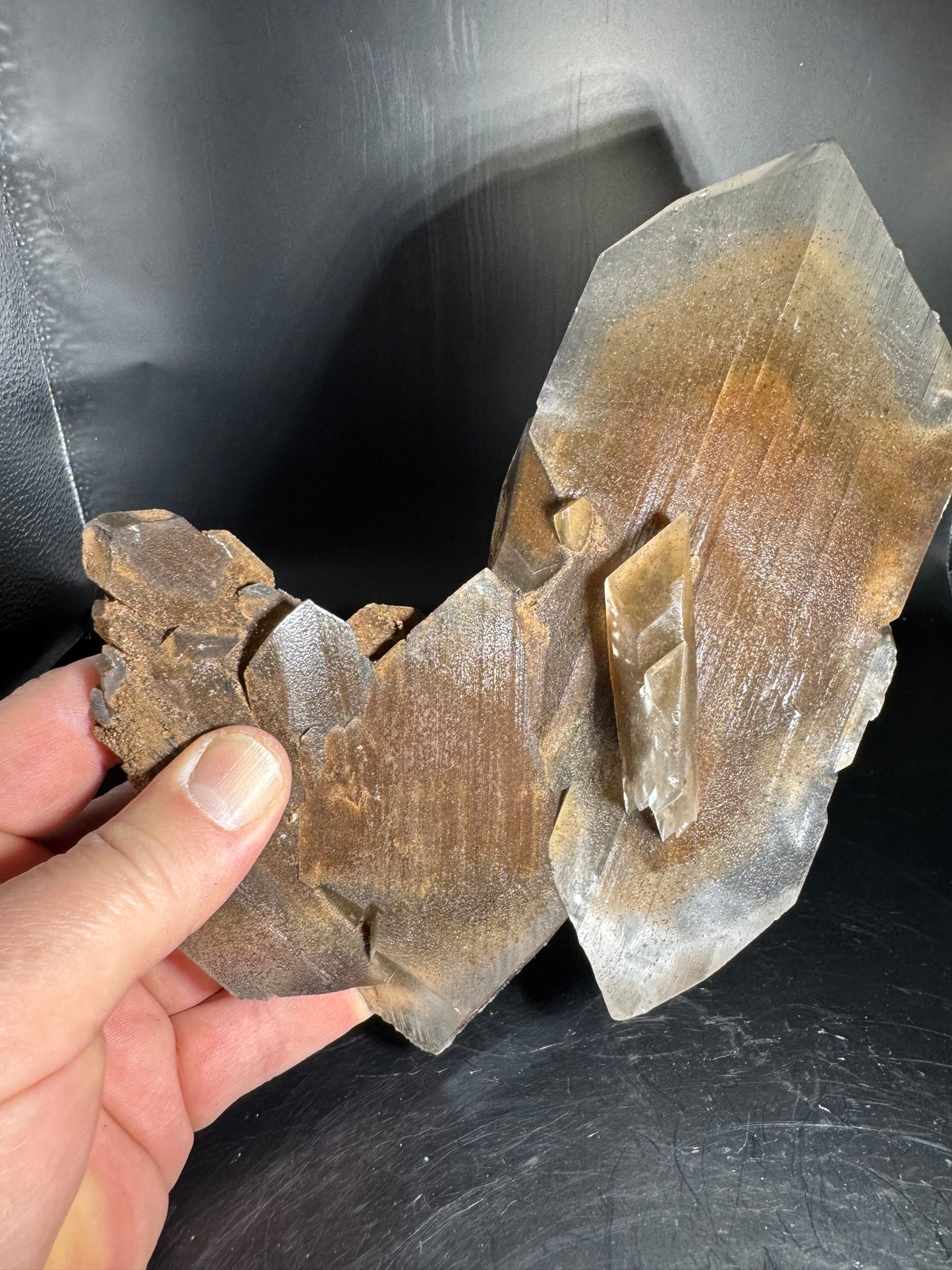 Phantom Selenite from La Platosa mine in Bermejillo Durango Mex 712 Grams