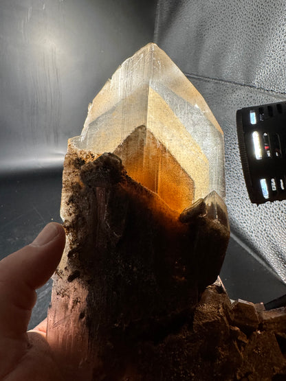 Phantom Selenite from La Platosa mine in Bermejillo Durango Mex 712 Grams