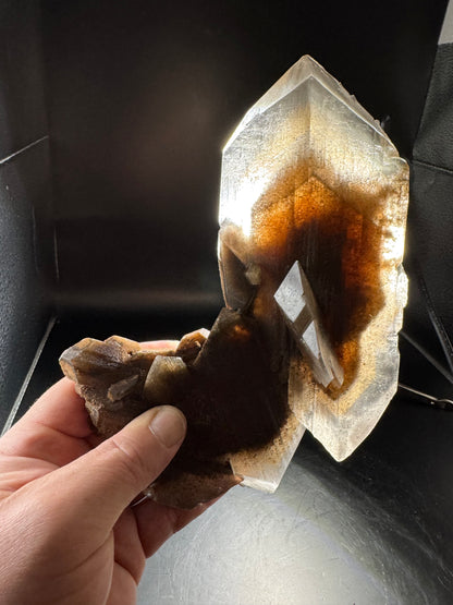 Phantom Selenite from La Platosa mine in Bermejillo Durango Mex 712 Grams